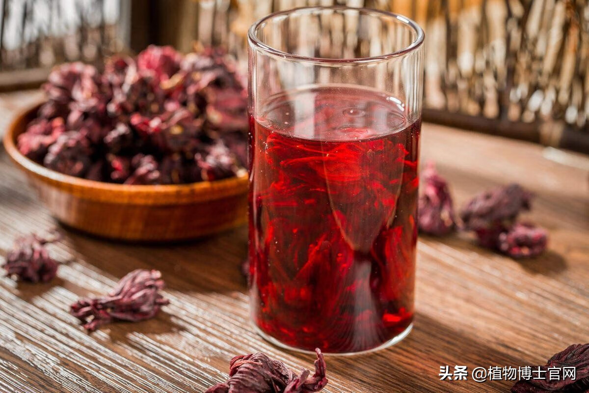 洛神花茶和什么搭配好(玫瑰洛神花茶的功效与作用)