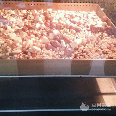 薏苡仁粉怎么做(薏仁粉是什么东西)