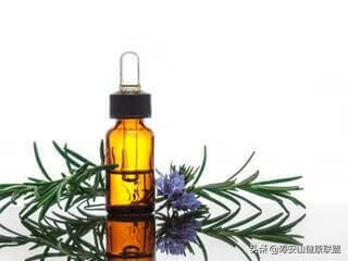 迷迭香精油的功效与作用及使用方法