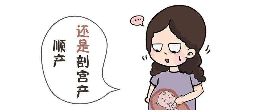 圣元剖宫产奶粉(圣元国产剖蓓舒奶粉配方)