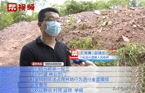 坟墓建在林地怎么处理(林地风水下葬方向)