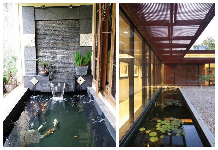 阳台做水池养鱼怎样防水(没有院子那就在阳台上挖鱼池)-百科学社