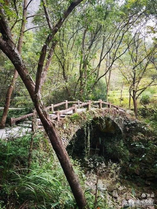 温州市永嘉楠溪江(温州楠溪江天气预报)