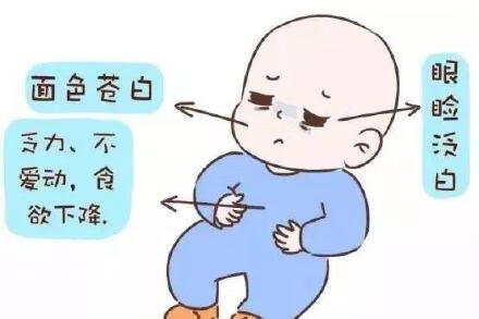 缺铁性贫血的症状表现(缺铁性贫血的症状或表现)