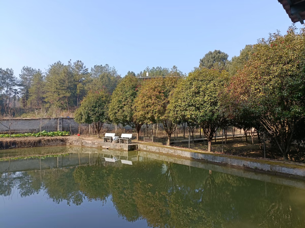 农家院风水格局图示(农家宅院风水)