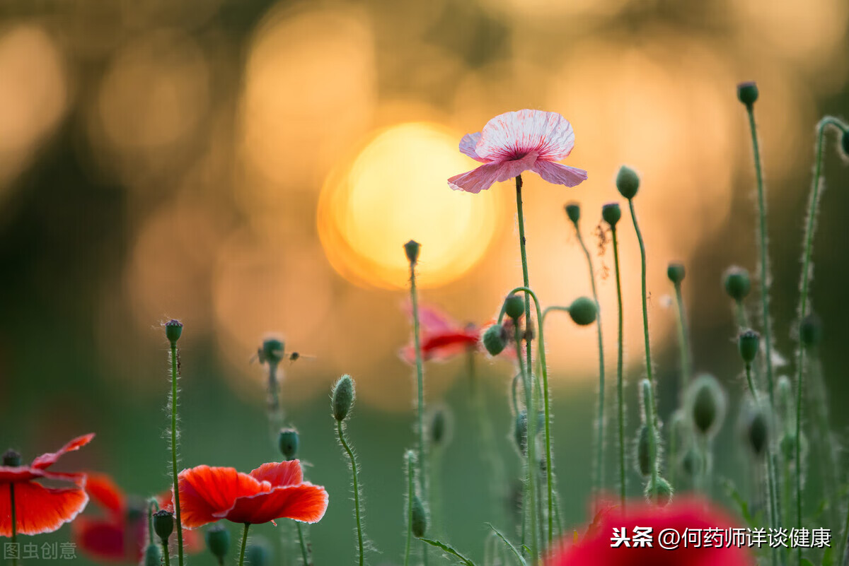 胃出血的症状及治疗(胃出血是什么样)