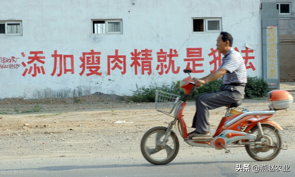 什么是瘦肉精有什么作用(现在猪肉有瘦肉精吗)