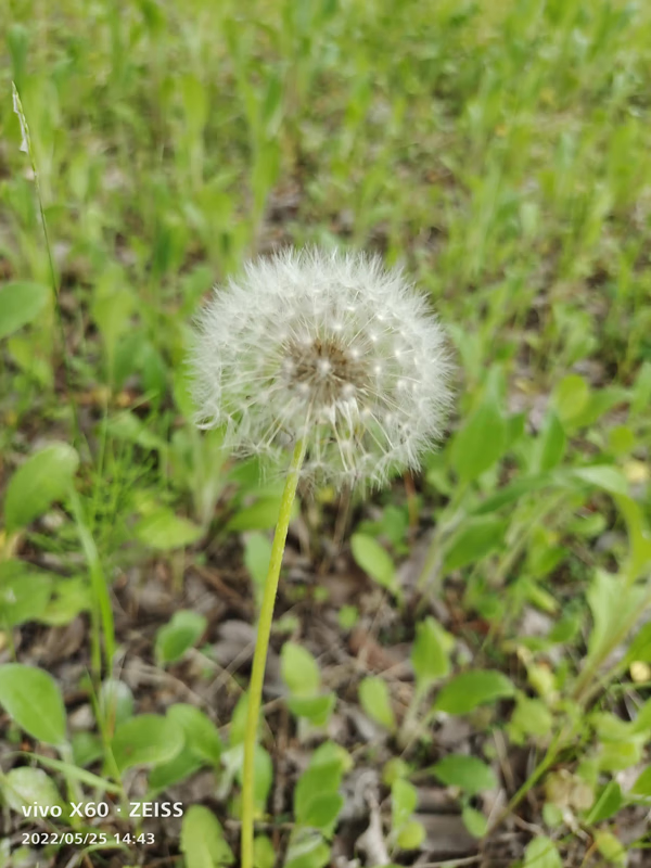 五四青年节发言稿作文(五四青年节演讲稿简短)