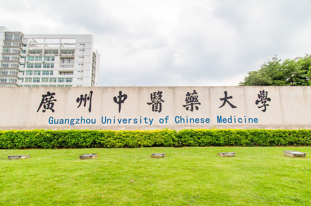 广州高校有哪些(广州有哪些大学)