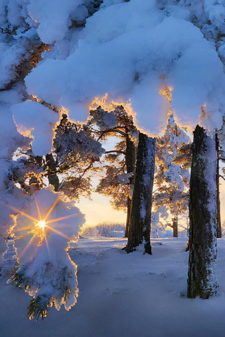 写写雪的古诗(写雪的古诗名句)