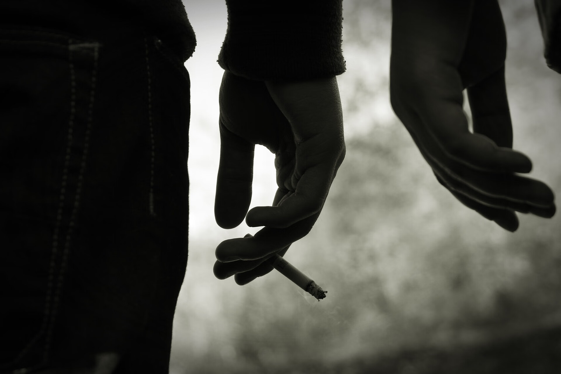 男性精子质量(男性正常的精子质量参考)