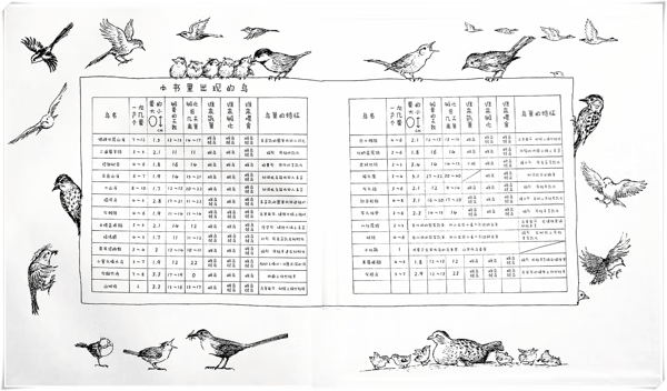 家门口有鸟筑巢意味着什么 家门树上有鸟巢