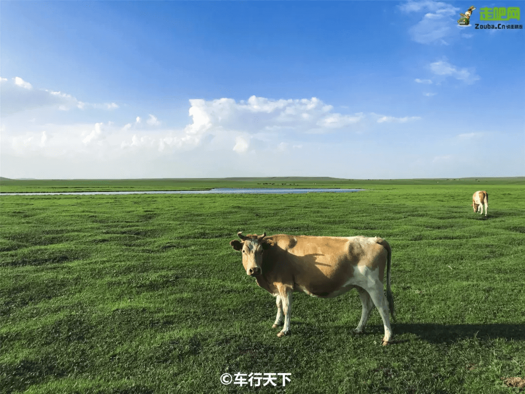 暑假去哪里旅游好玩呀(暑假去哪里玩最好)