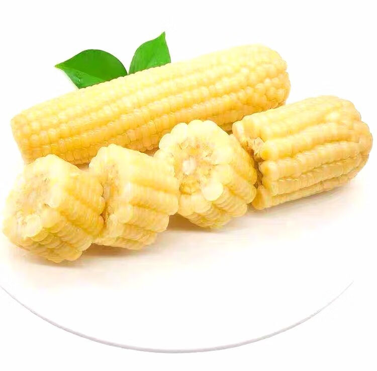 老玉米(老玉米是什么意思)