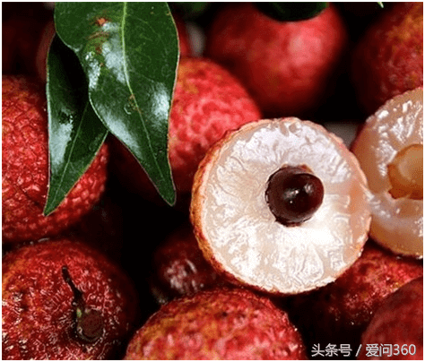 荔枝不可以和什么一起吃(番荔枝和什么不能一起吃)