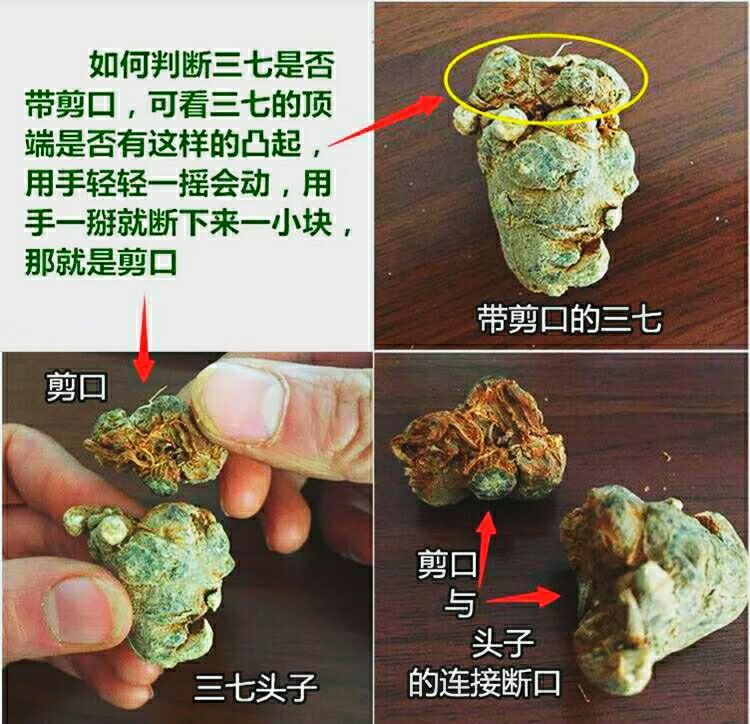 当归粉好还是当归片好(当归粉的美容功效与作用)