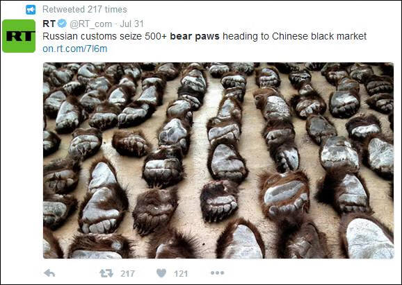 熊掌的价钱(熊掌的价格是多少)