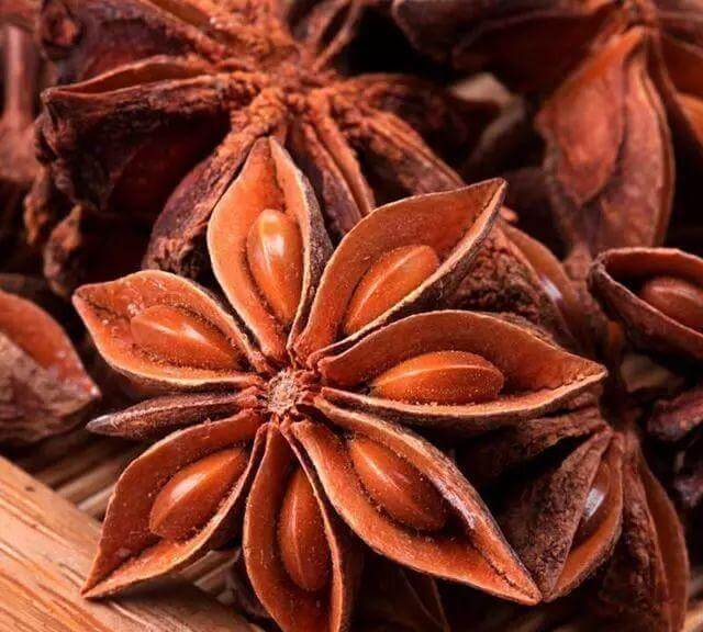 大茴香是什么东西(小茴香是什么东西)
