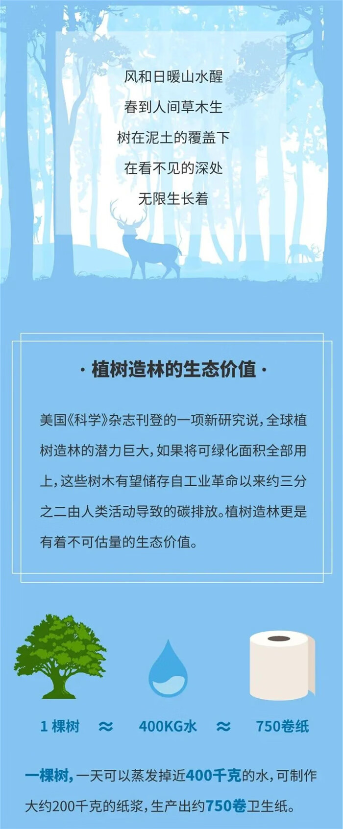 植树节的意义与来历(植树节的来历简写10字)