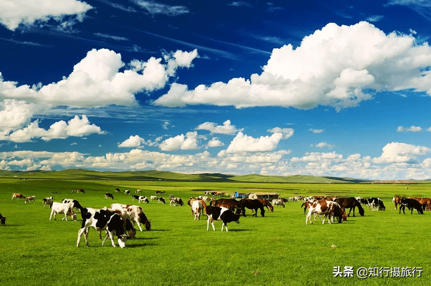 暑假去哪里旅游最好?(暑假去哪里玩最合适)