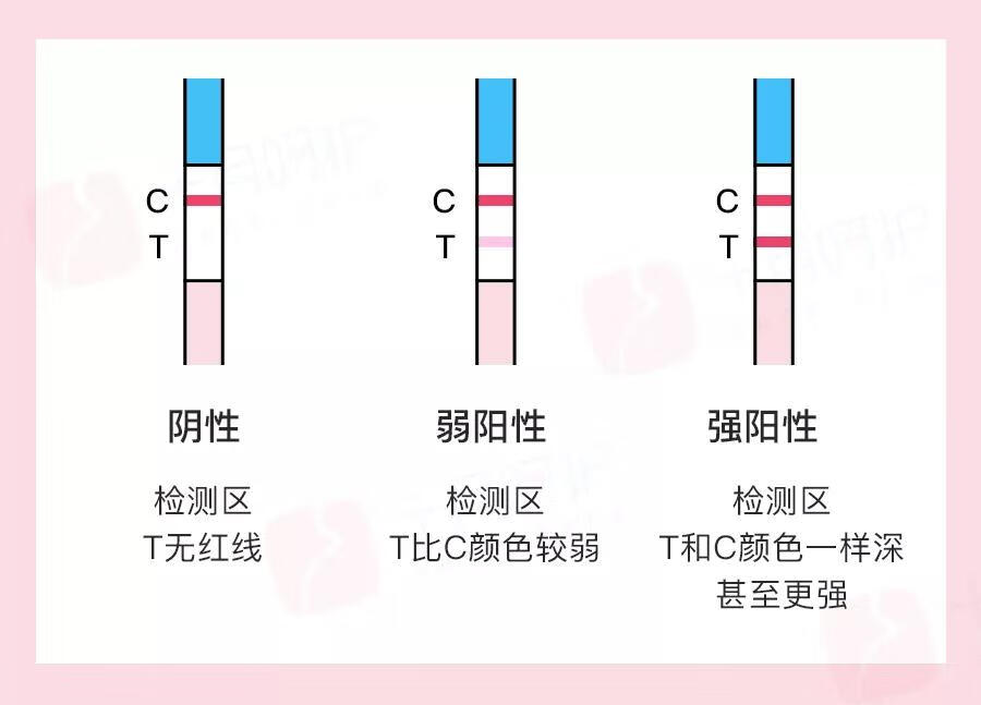 怎么样有助于怀孕(怎样受孕最快)