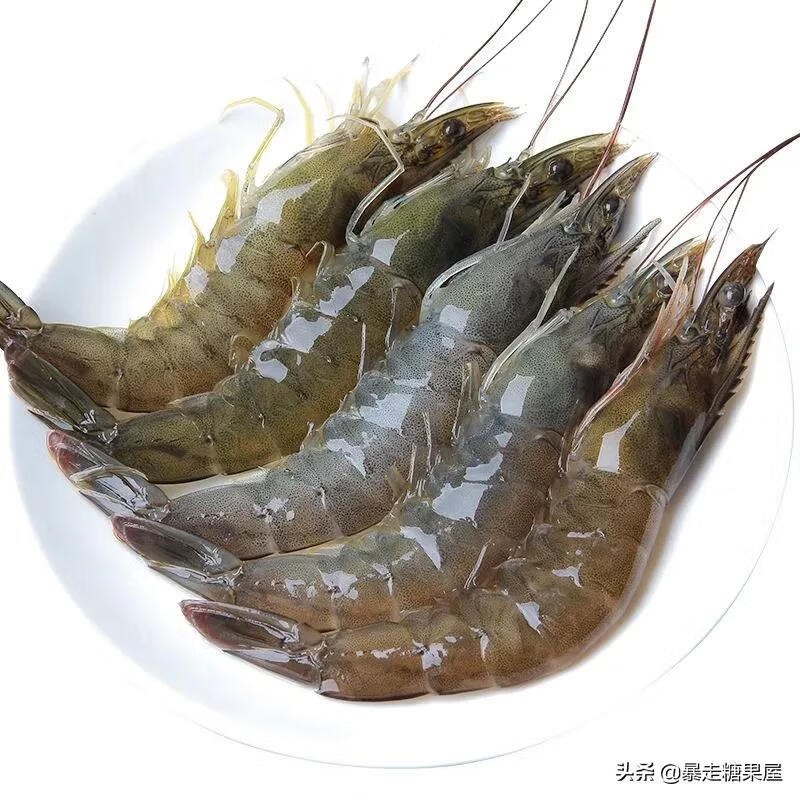 基围虾虾是海虾吗(基围虾到底是什么虾)