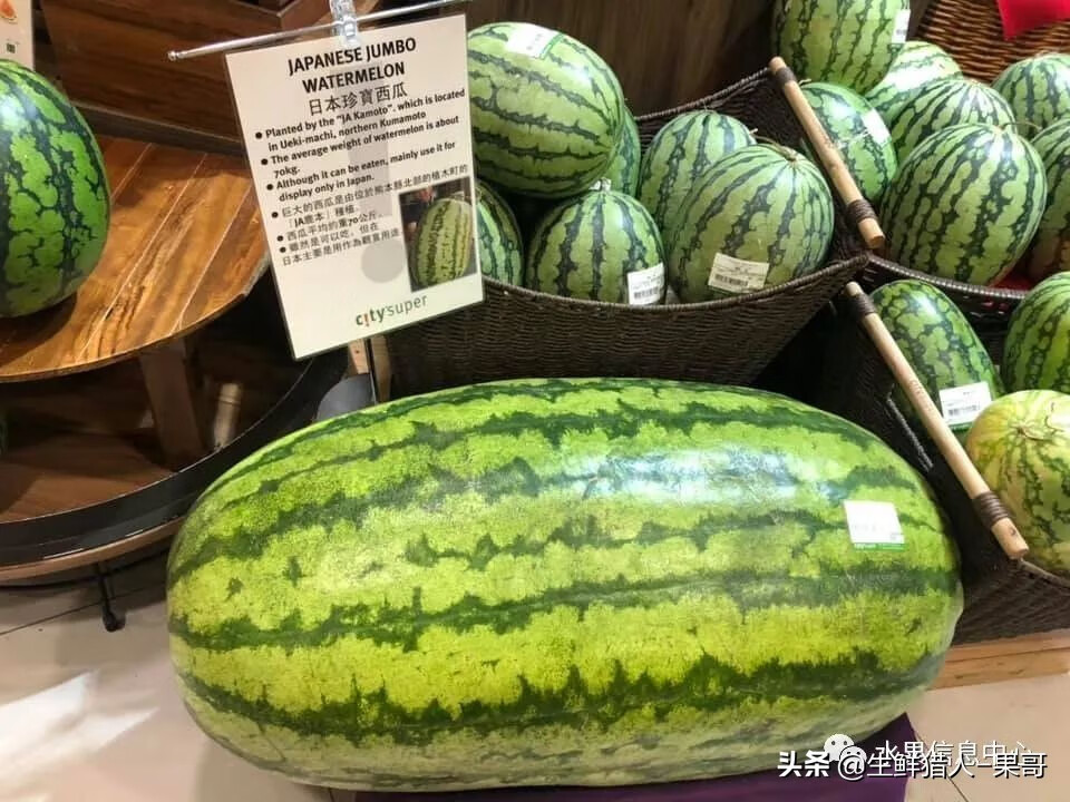 果(果蓏)