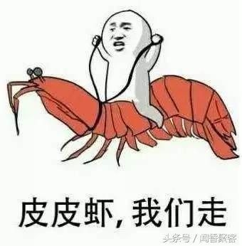 皮皮虾 粥(虾皮能熬粥吗)