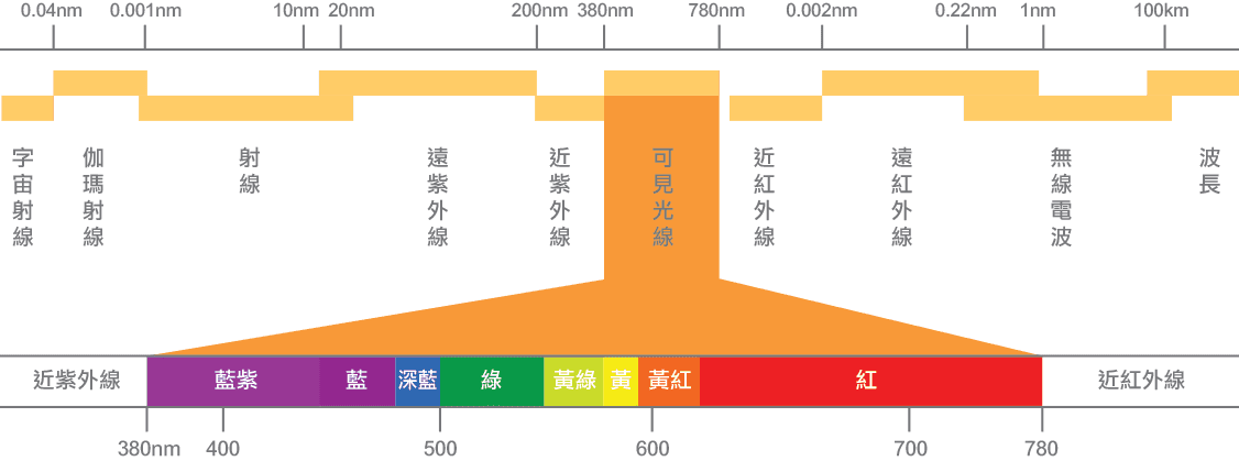 撒尿虾为什么叫撒尿虾(赖尿虾)