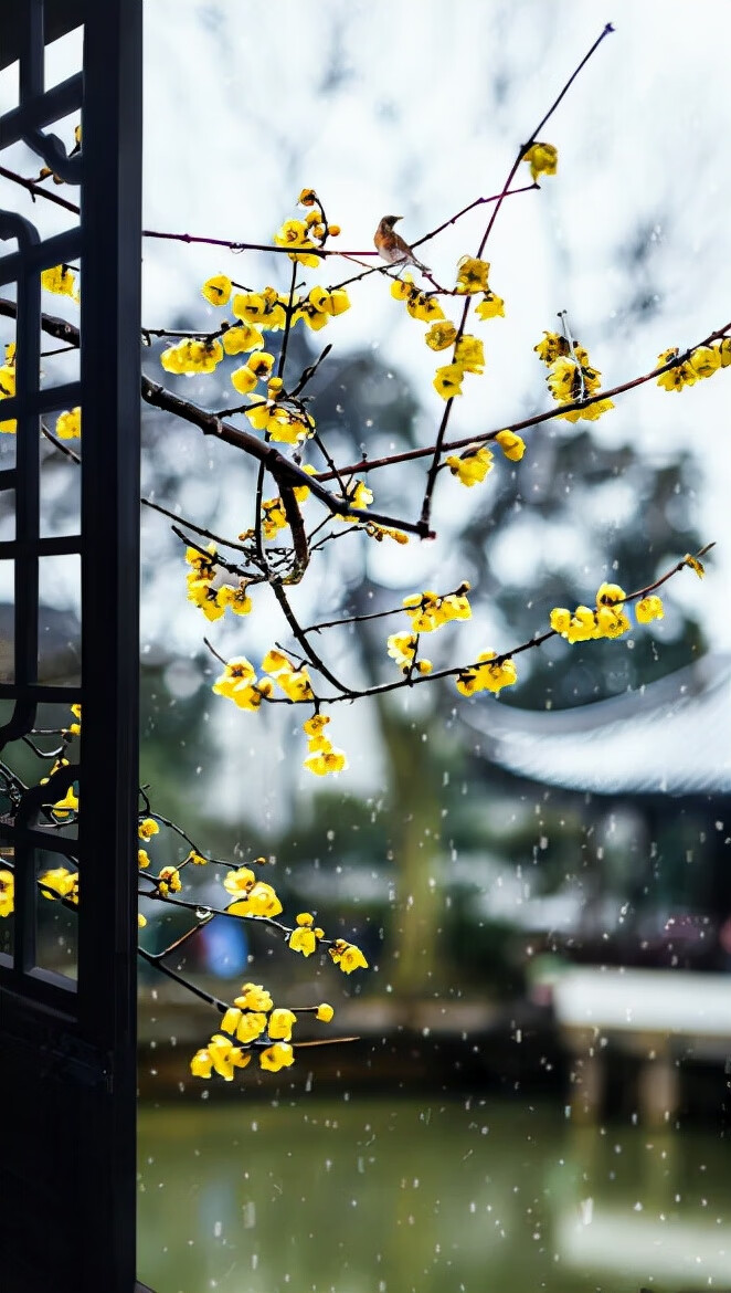 写写雪的古诗(写雪的古诗名句)