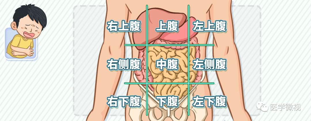 肚子一直痛是什么原因(肚子一直痛怎么回事)
