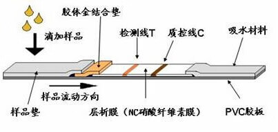 试纸怎么看结果(早孕试纸的看法)