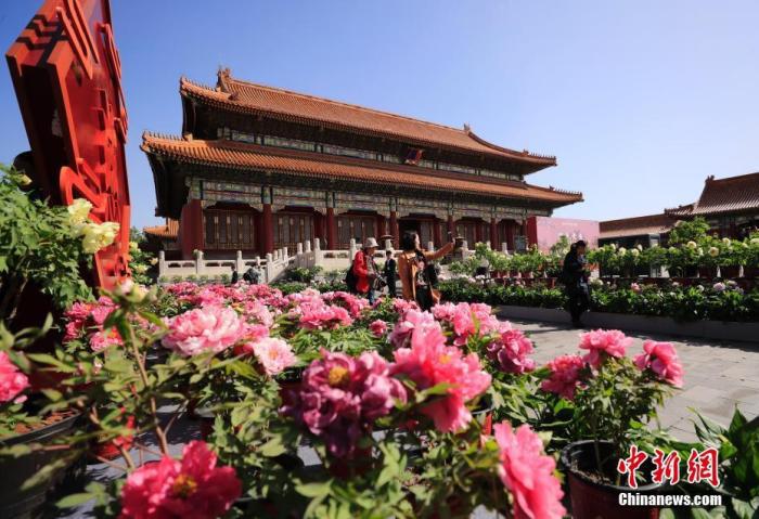 风水电视连续剧21集(使命电视剧21集)