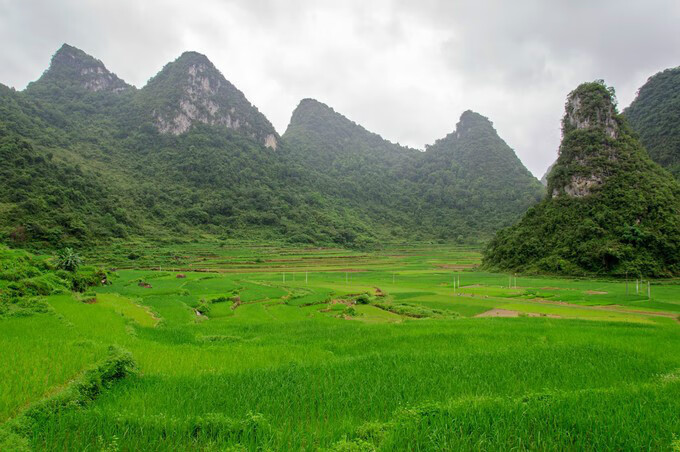 广西百色靖西风水宝地(广西风水宝地大全)