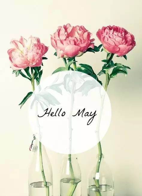 mayiloveyou是什么意思