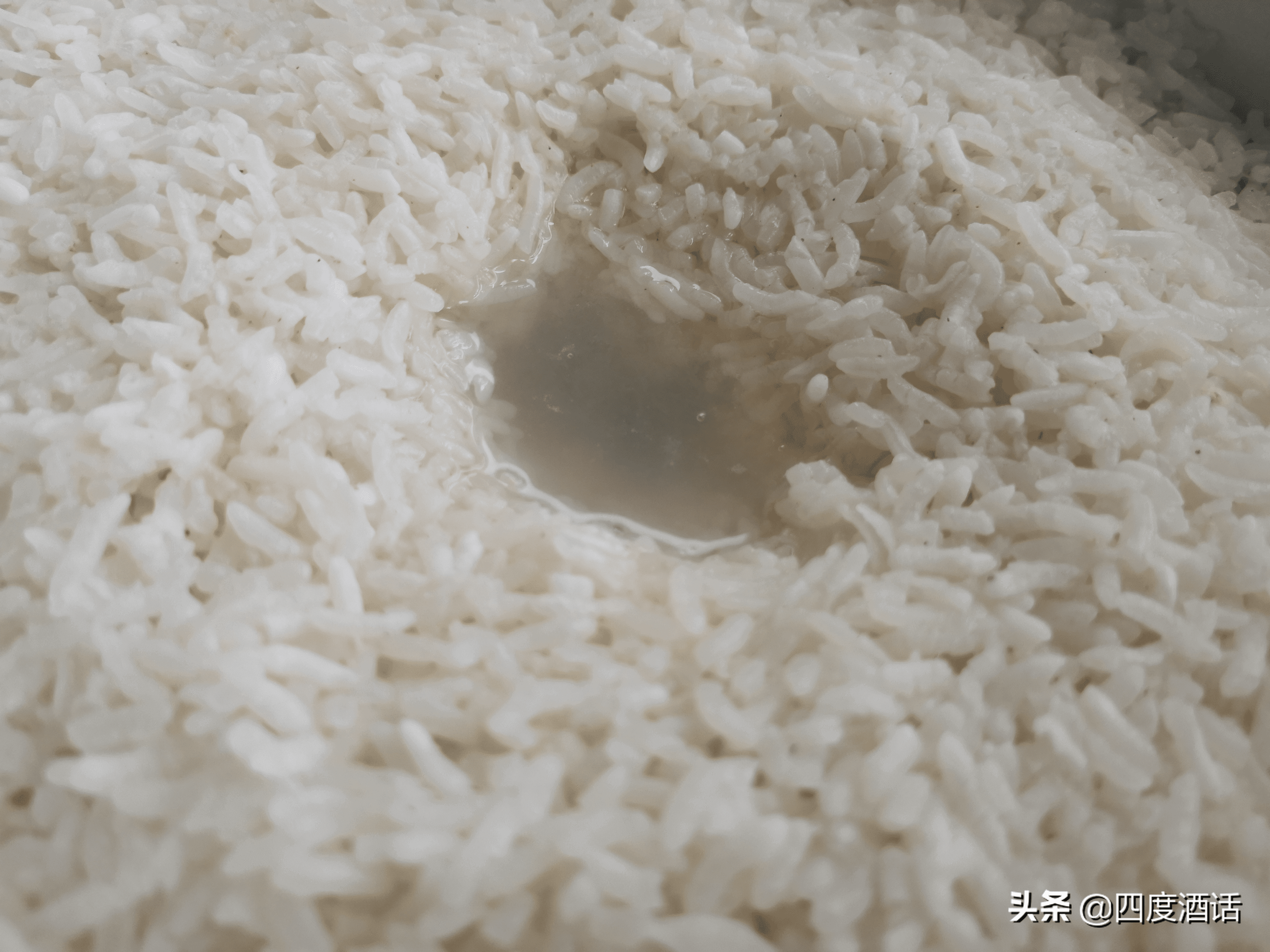 米酒的制作方法步骤(大米酿米酒的制作方法)