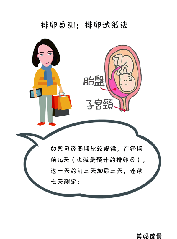 排卵试纸怎么用最准确(排卵试纸完整一个月图解)
