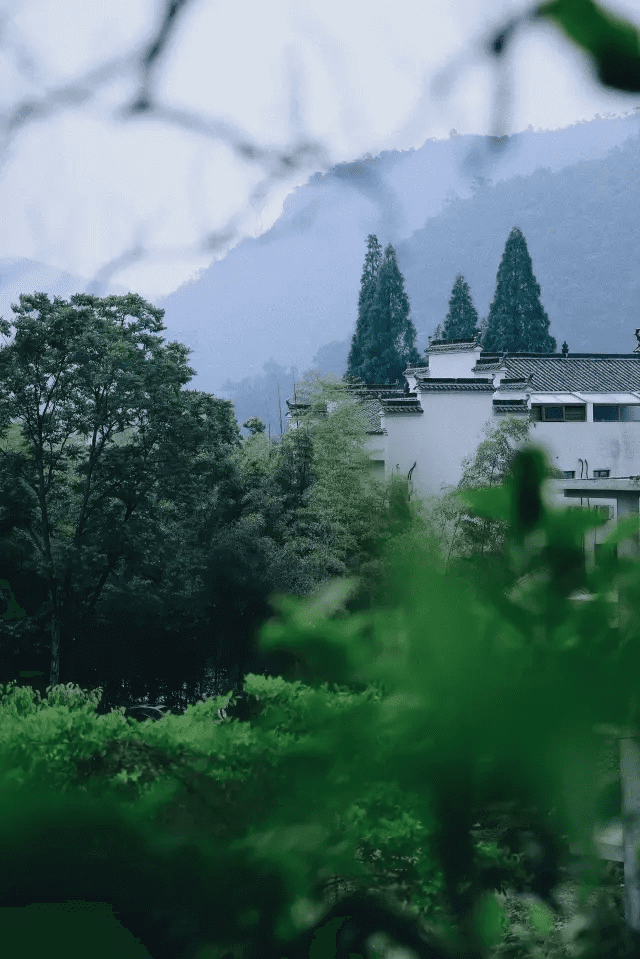 暑假去哪里旅游好玩呀(暑假去哪里玩最好)