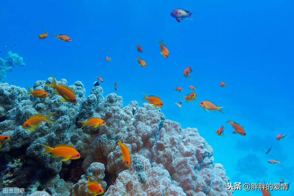 生活就是沸腾的海洋，就要有大风大浪，那才叫波澜壮阔呢