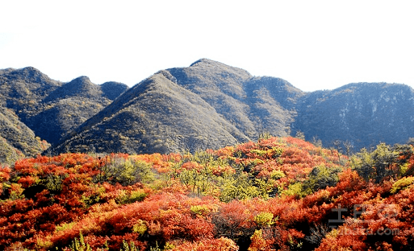还有好风水阴宅一定具备主山,少祖山以及祖山等等背山.