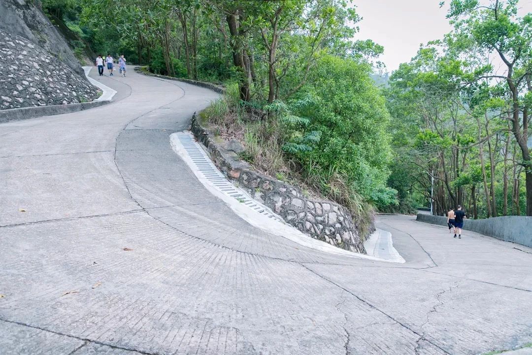 深圳地址大全详细地址(深圳有哪些地区)