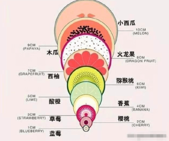 宫口开十指图片有多大