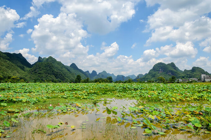 广西百色靖西风水宝地(广西风水宝地大全)