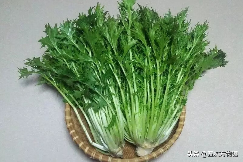 十字花科蔬菜有哪些(十字花科常见蔬菜)