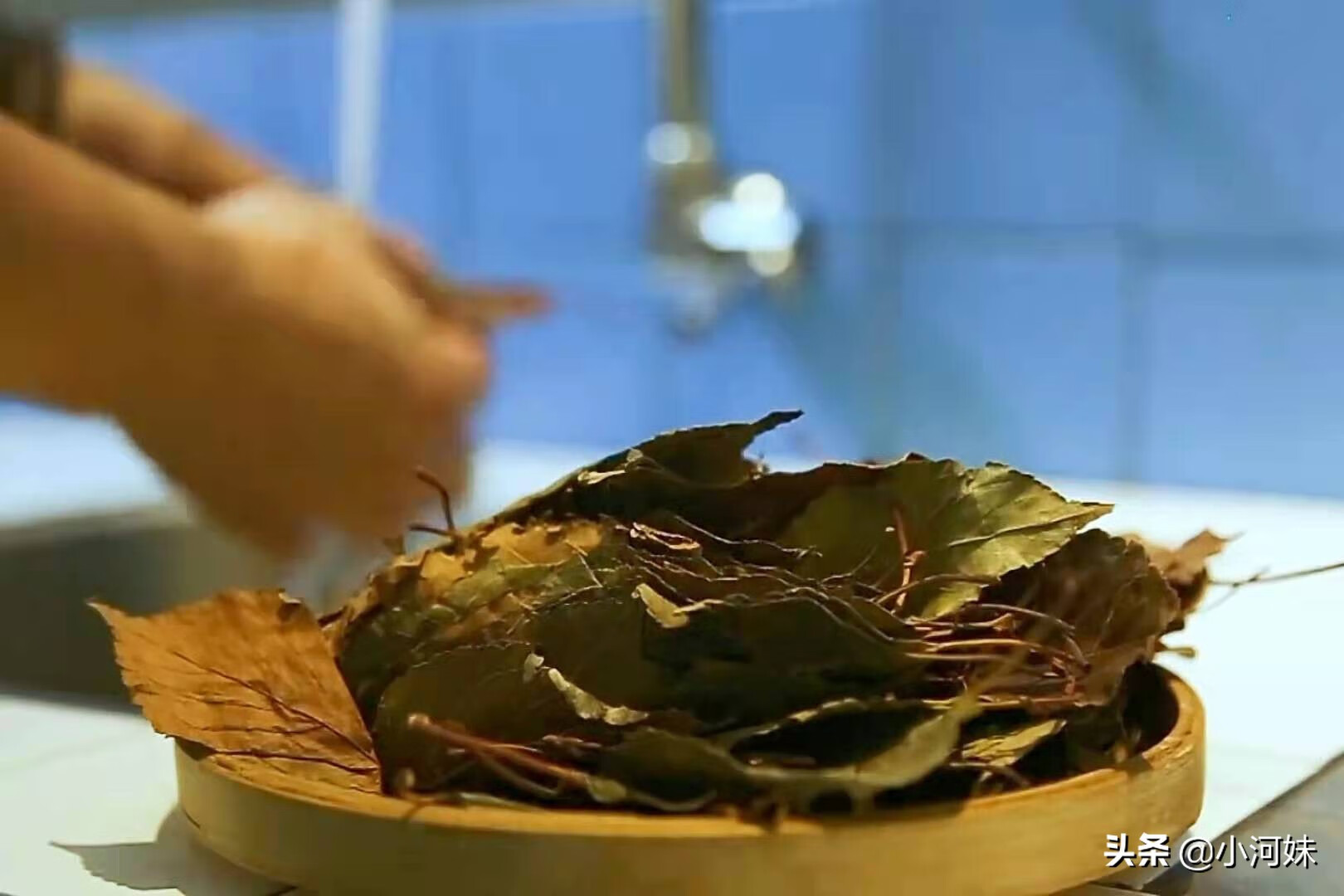 山楂叶茶(山楂叶图片)