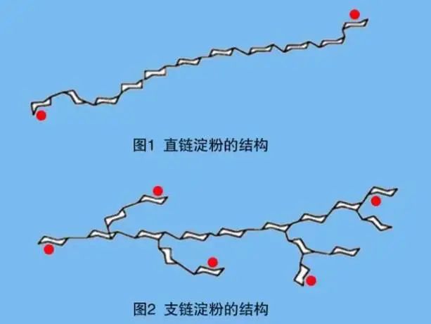 糯米(糯米糕)