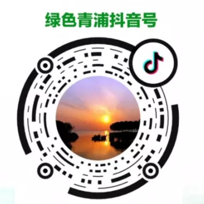 慢性湿疹图片(急性湿疹自己能好吗)
