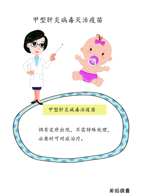 甲肝疫苗(甲肝乙肝疫苗)