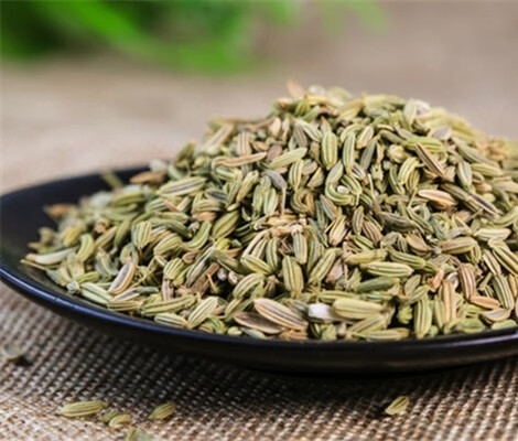 茴香菜的功效与作用(茴香菜又叫什么菜)
