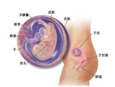 怀孕三个月症状表现(怀孕3个月症状)